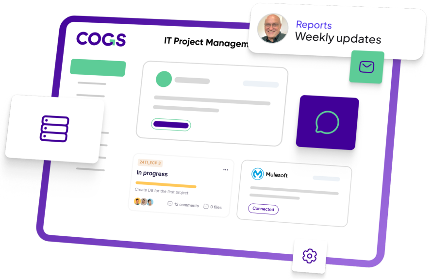 IT Project Management